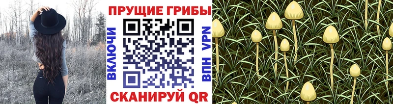 Галлюциногенные грибы мухоморы  Купить где  Миасс 